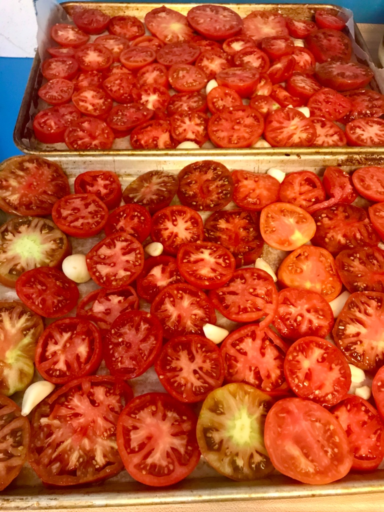 Tomatoes and garlic ready to slow roast